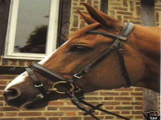 HERITAGE ENGLISH COMFORT BRIDLE