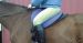 Treeless Cashel Soft Saddle New Black