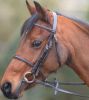 CAMBRIAN PONY BRIDLE. SECTION A.